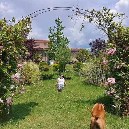 Green Villa Rodna 斯科普里 外观 照片