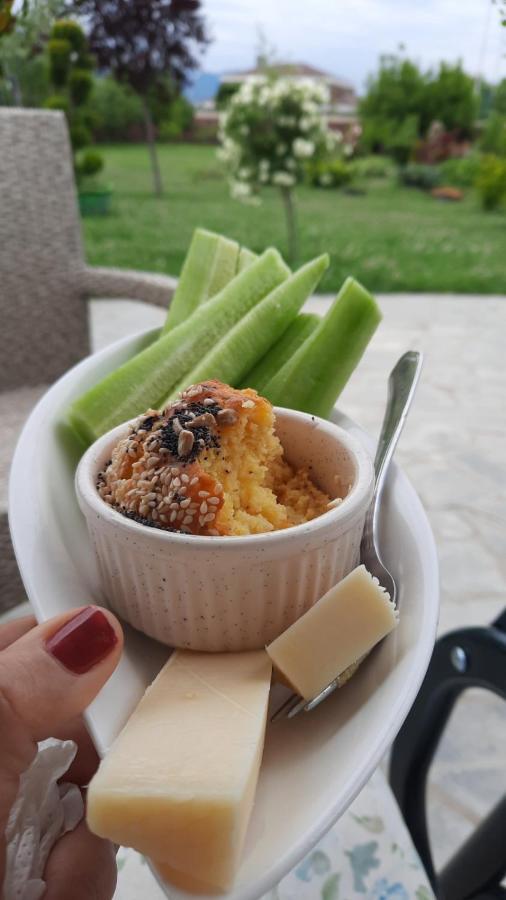 Green Villa Rodna 斯科普里 外观 照片